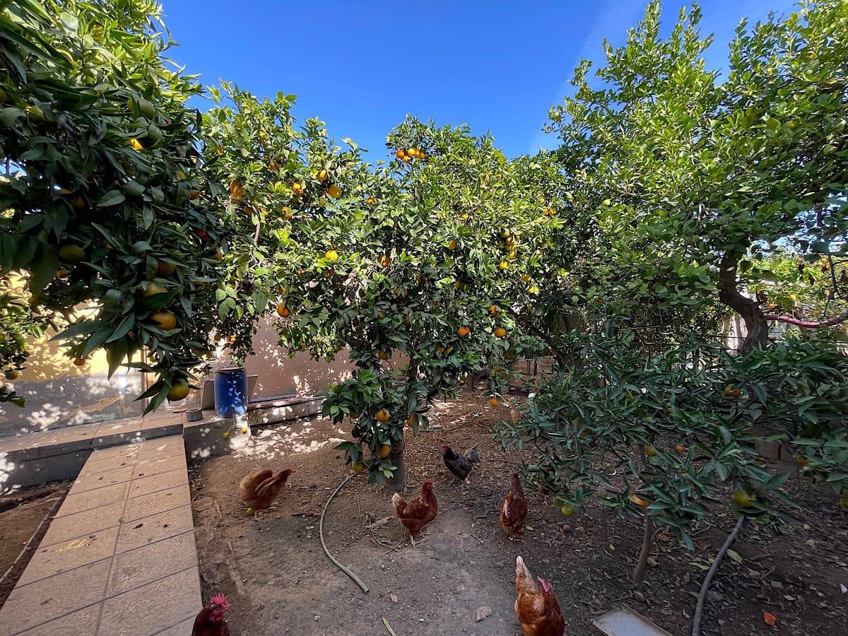 4 bedroom Townhouse for sale in Pechina - € 209,000 (Ref: 9409226)