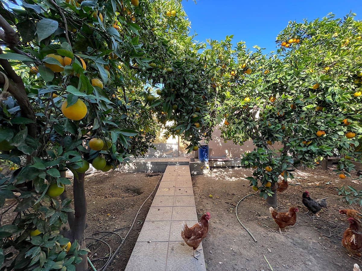 4 bedroom Townhouse for sale in Pechina - € 209,000 (Ref: 9409226)