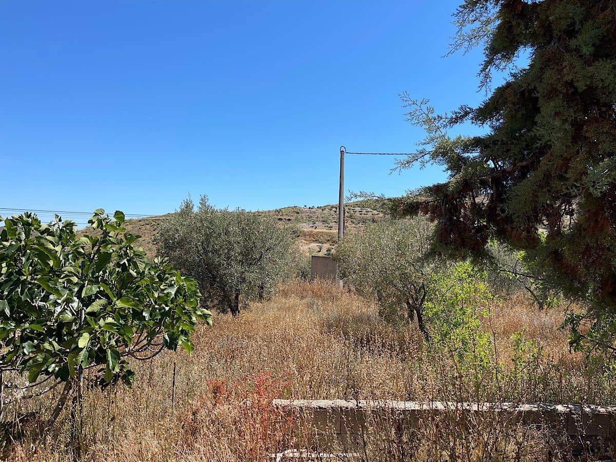 Finca/Country House for sale in Uleila del Campo - € 38,000 (Ref: 9536675)