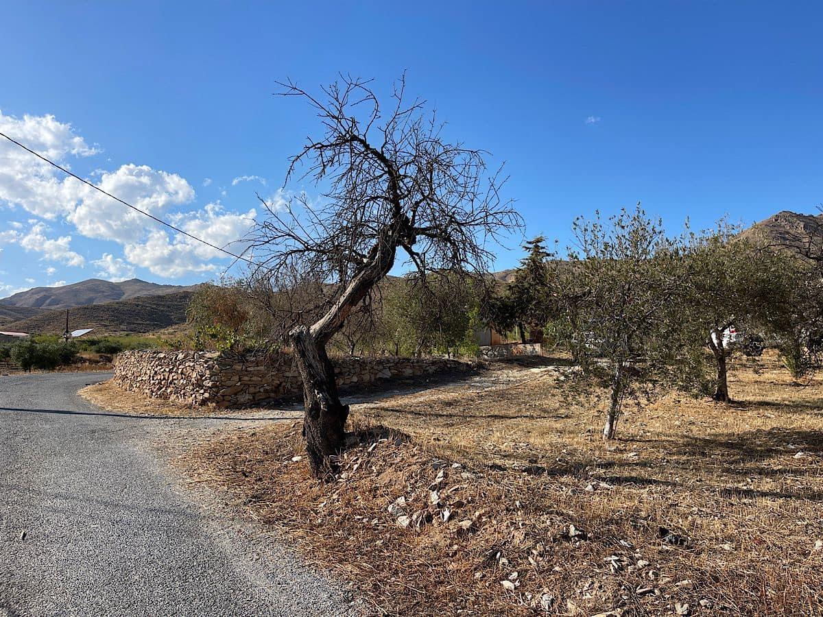 Finca/Country House for sale in Uleila del Campo - € 38,000 (Ref: 9536675)