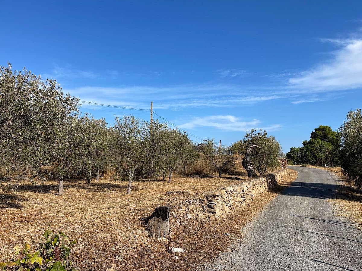 Finca/Country House for sale in Uleila del Campo - € 38,000 (Ref: 9536675)