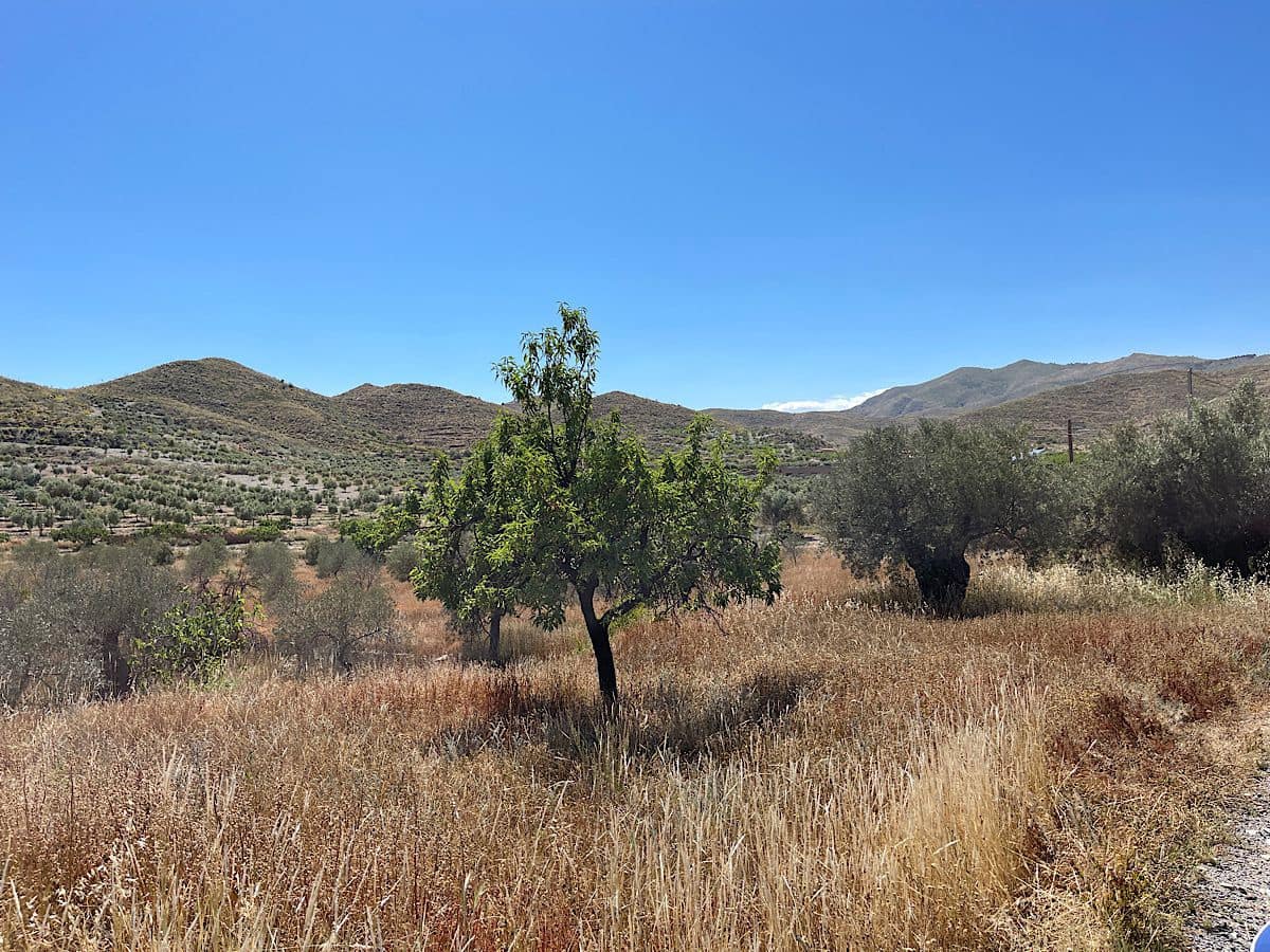 Finca/Country House for sale in Uleila del Campo - € 38,000 (Ref: 9536675)