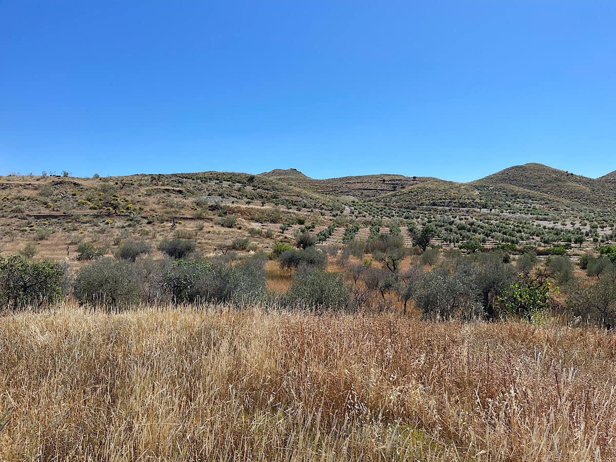 Finca/Country House for sale in Uleila del Campo - € 38,000 (Ref: 9536675)