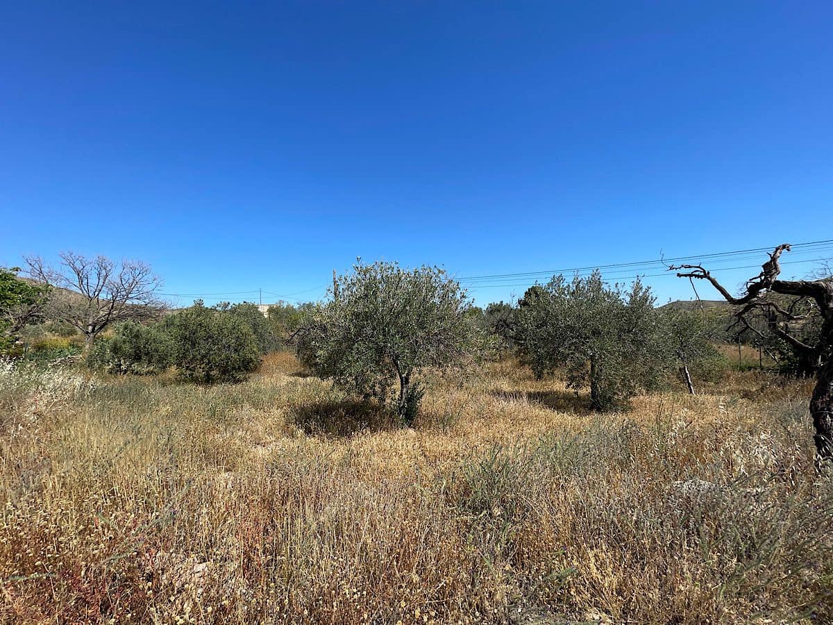 Finca/Country House for sale in Uleila del Campo - € 38,000 (Ref: 9536675)