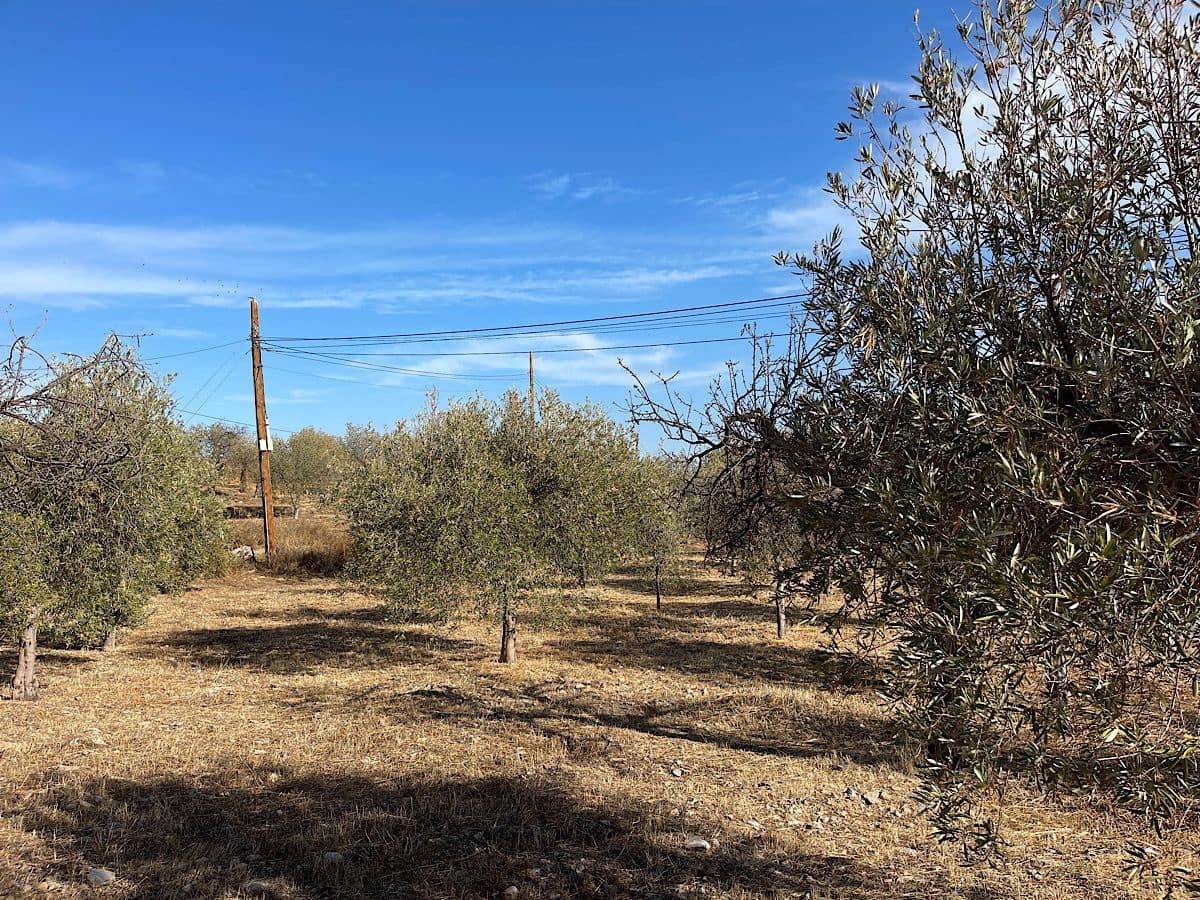 Finca/Country House for sale in Uleila del Campo - € 38,000 (Ref: 9536675)