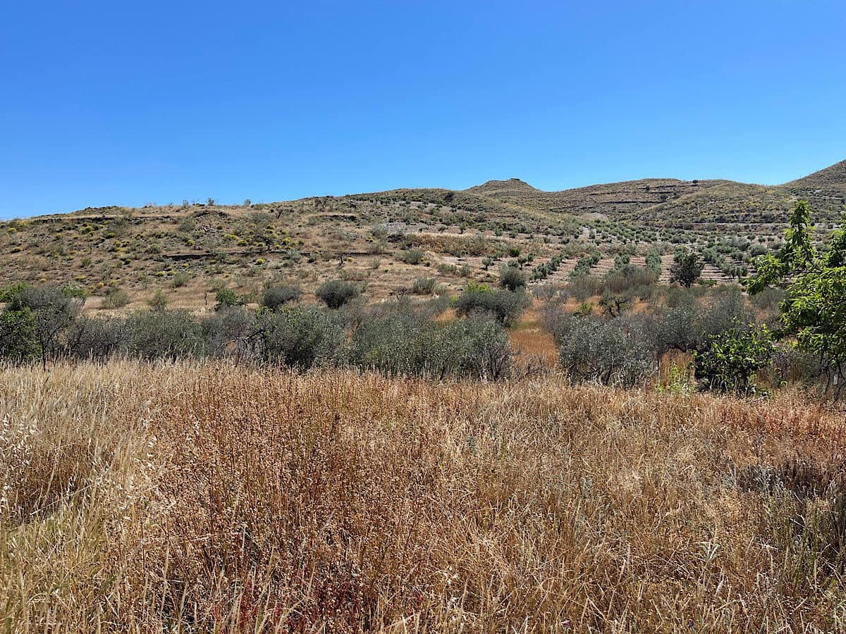 Finca/Country House for sale in Uleila del Campo - € 38,000 (Ref: 9536675)