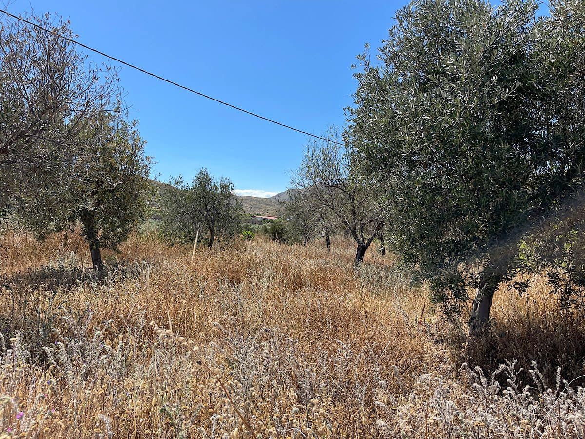 Finca/Country House for sale in Uleila del Campo - € 38,000 (Ref: 9536675)