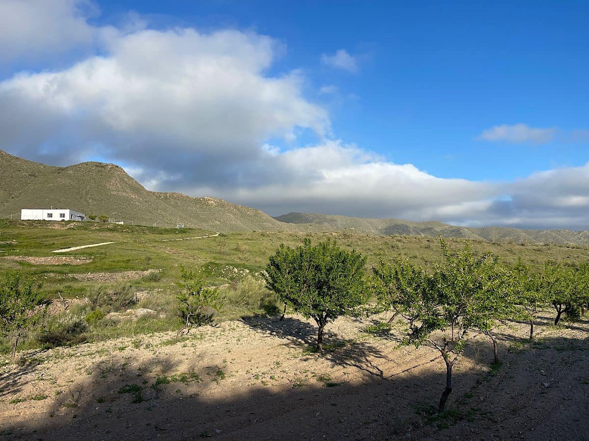 3 bedroom Finca/Country House for sale in Uleila del Campo - € 595,000 (Ref: 9722626)