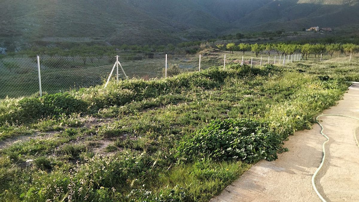 3 bedroom Finca/Country House for sale in Uleila del Campo - € 595,000 (Ref: 9722626)