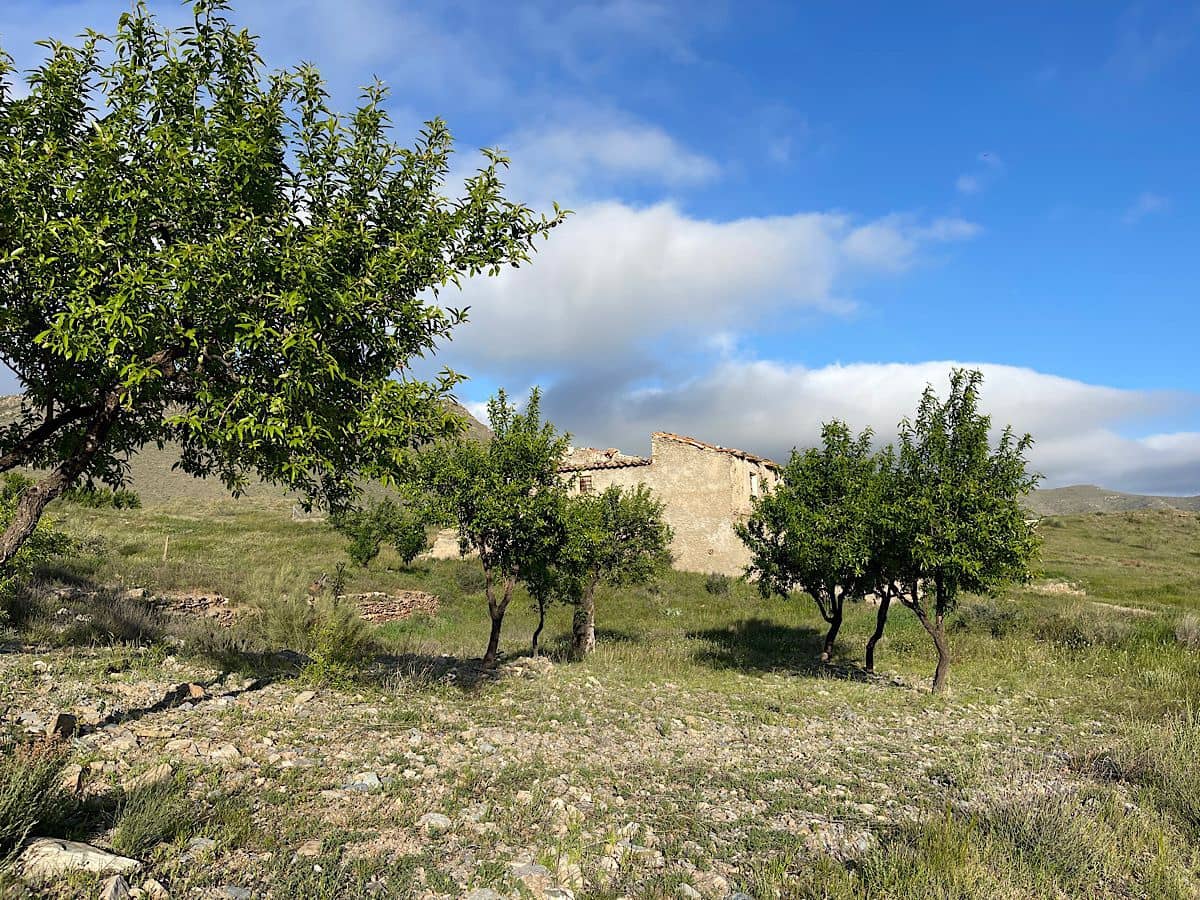 3 bedroom Finca/Country House for sale in Uleila del Campo - € 595,000 (Ref: 9722626)