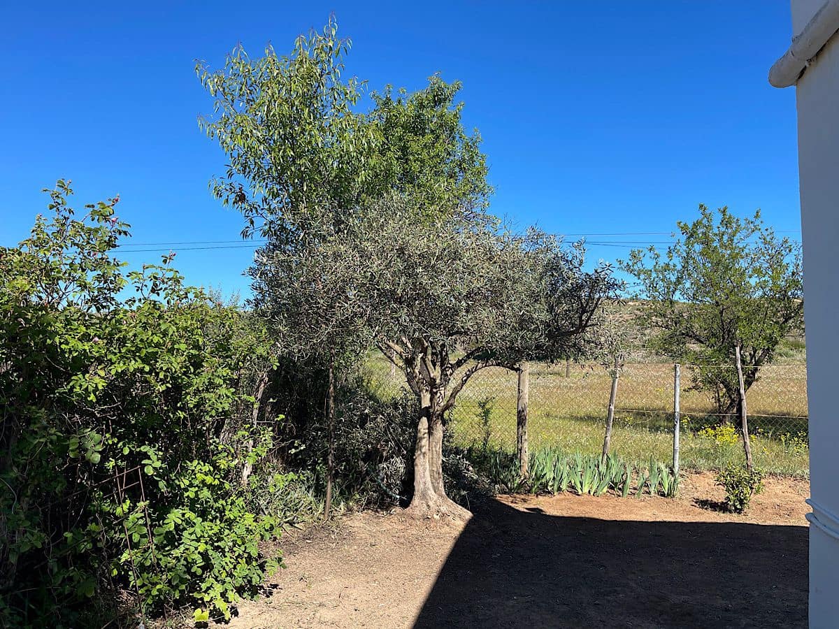 Finca/Casa Rural de 2 habitaciones en Sorbas en venta - 123.000 € (Ref: 9745230)