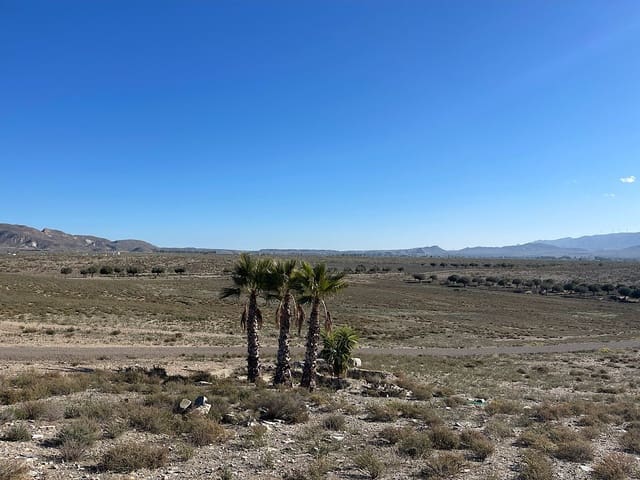 3 sovrum Finca/Hus på landet till salu i Tabernas - 695 000 € (Ref: 9814266)