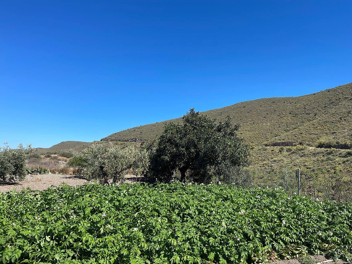 6 quarto Quinta/Casa Rural para venda em Lucainena de las Torres com garagem - 224 000 € (Ref: 9826346)