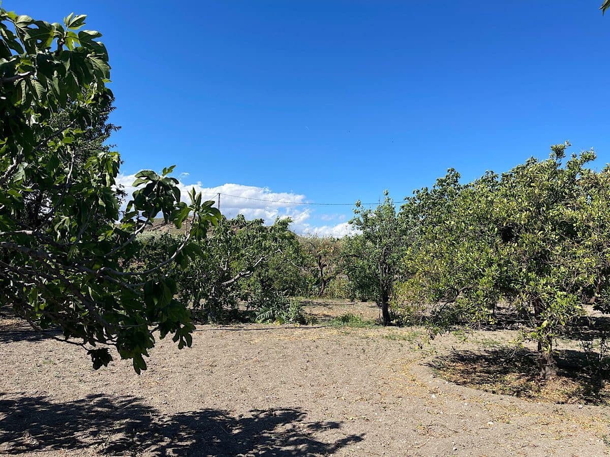 6 quarto Quinta/Casa Rural para venda em Lucainena de las Torres com garagem - 224 000 € (Ref: 9826346)