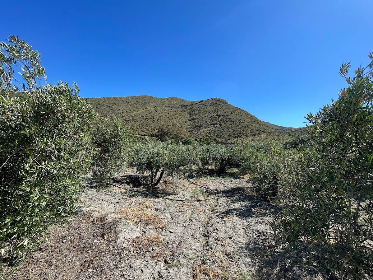 6 quarto Quinta/Casa Rural para venda em Lucainena de las Torres com garagem - 224 000 € (Ref: 9826346)