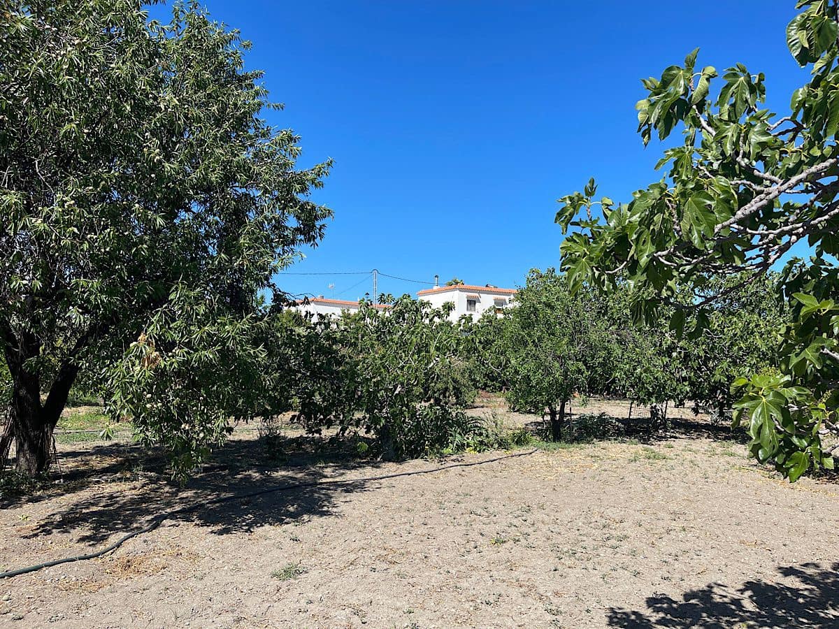 6 quarto Quinta/Casa Rural para venda em Lucainena de las Torres com garagem - 224 000 € (Ref: 9826346)