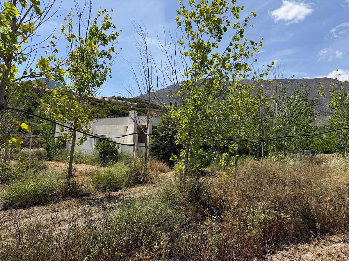 2 bedroom Finca/Country House for sale in Bentarique with garage - € 265,000 (Ref: 9840259)