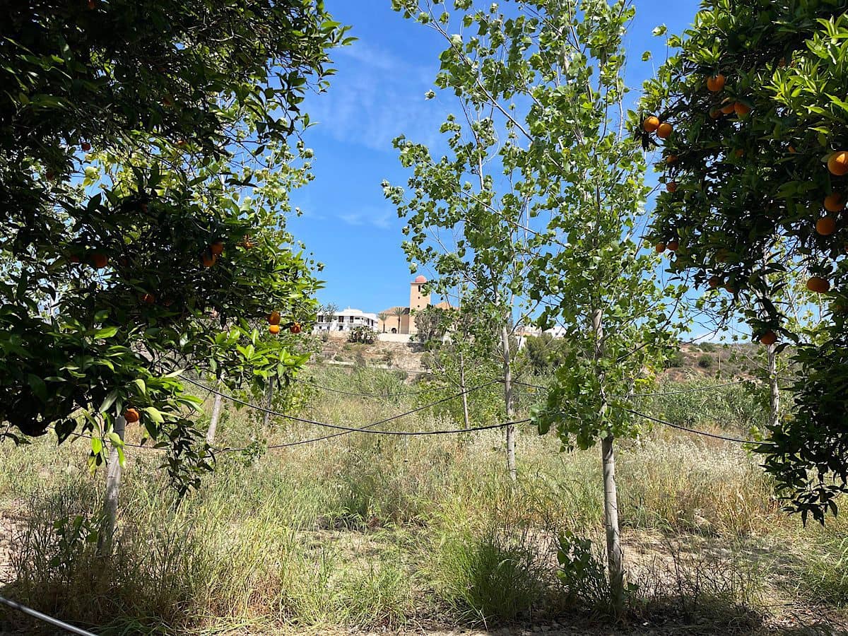2 bedroom Finca/Country House for sale in Bentarique with garage - € 265,000 (Ref: 9840259)