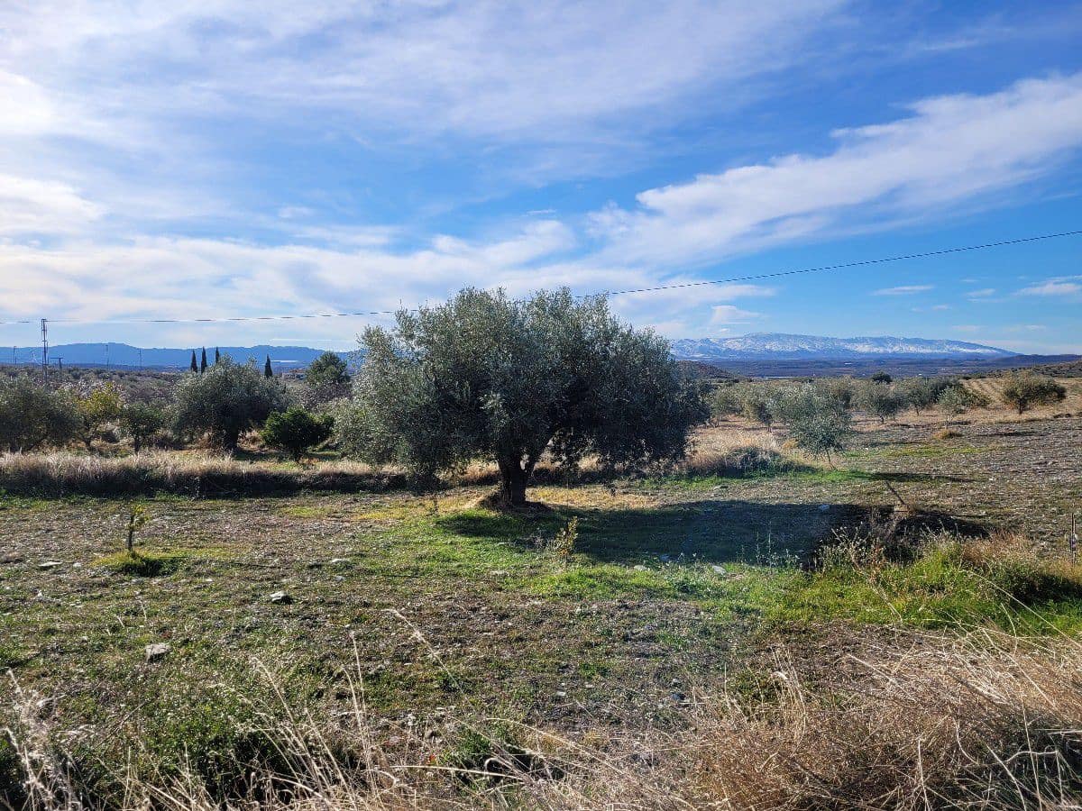 2 bedroom Finca/Country House for sale in Uleila del Campo - € 268,000 (Ref: 9858040)