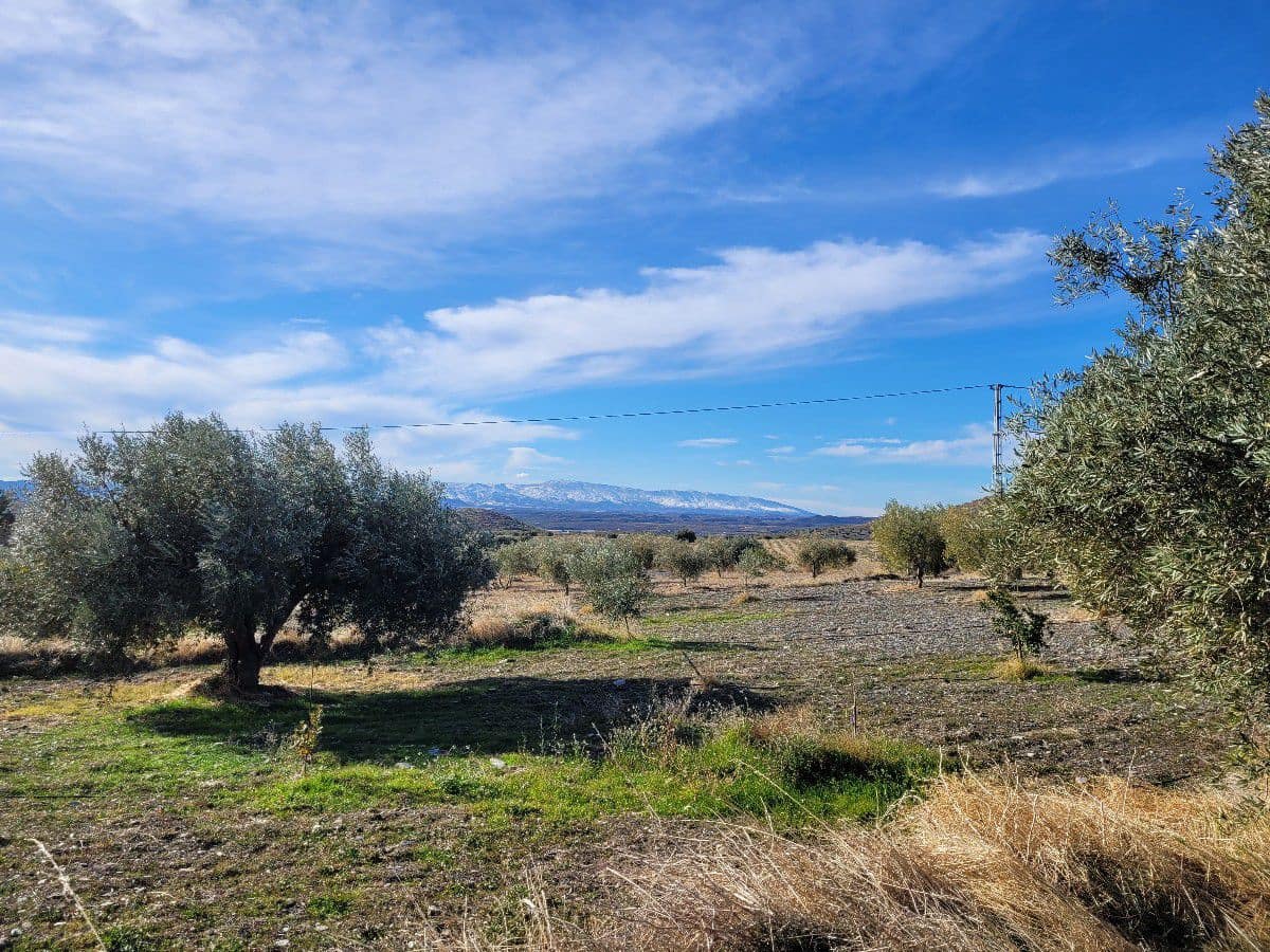 2 bedroom Finca/Country House for sale in Uleila del Campo - € 268,000 (Ref: 9858040)