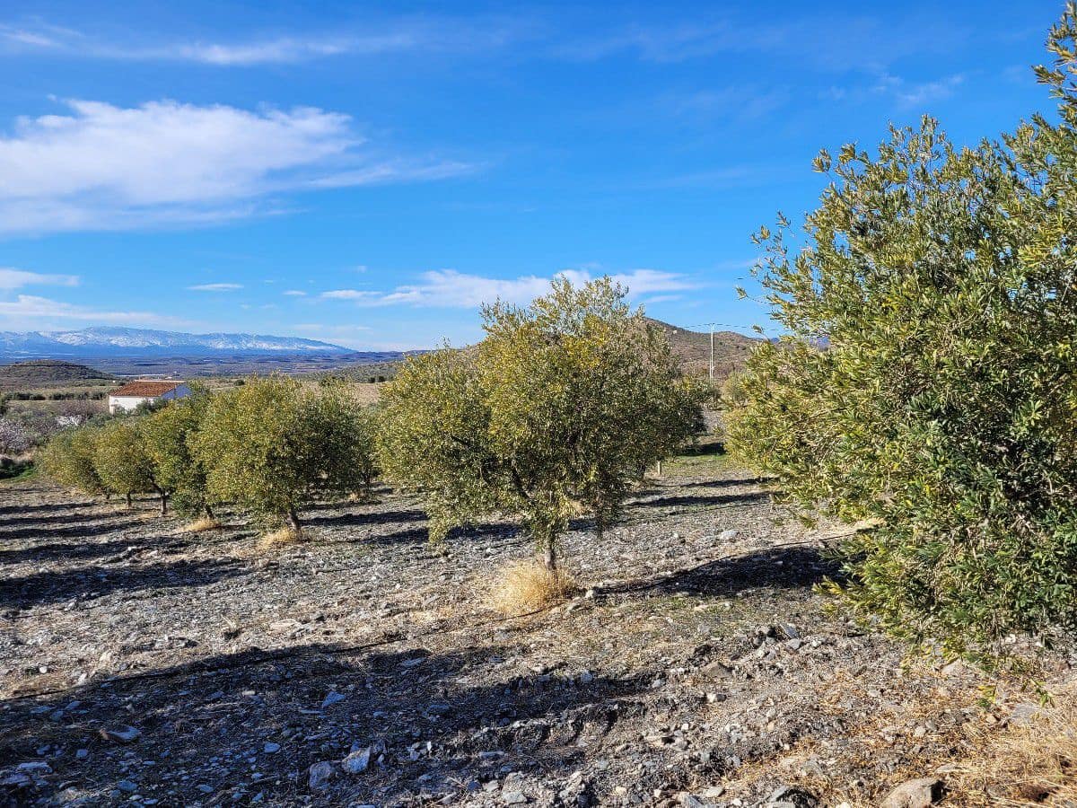 2 bedroom Finca/Country House for sale in Uleila del Campo - € 268,000 (Ref: 9858040)