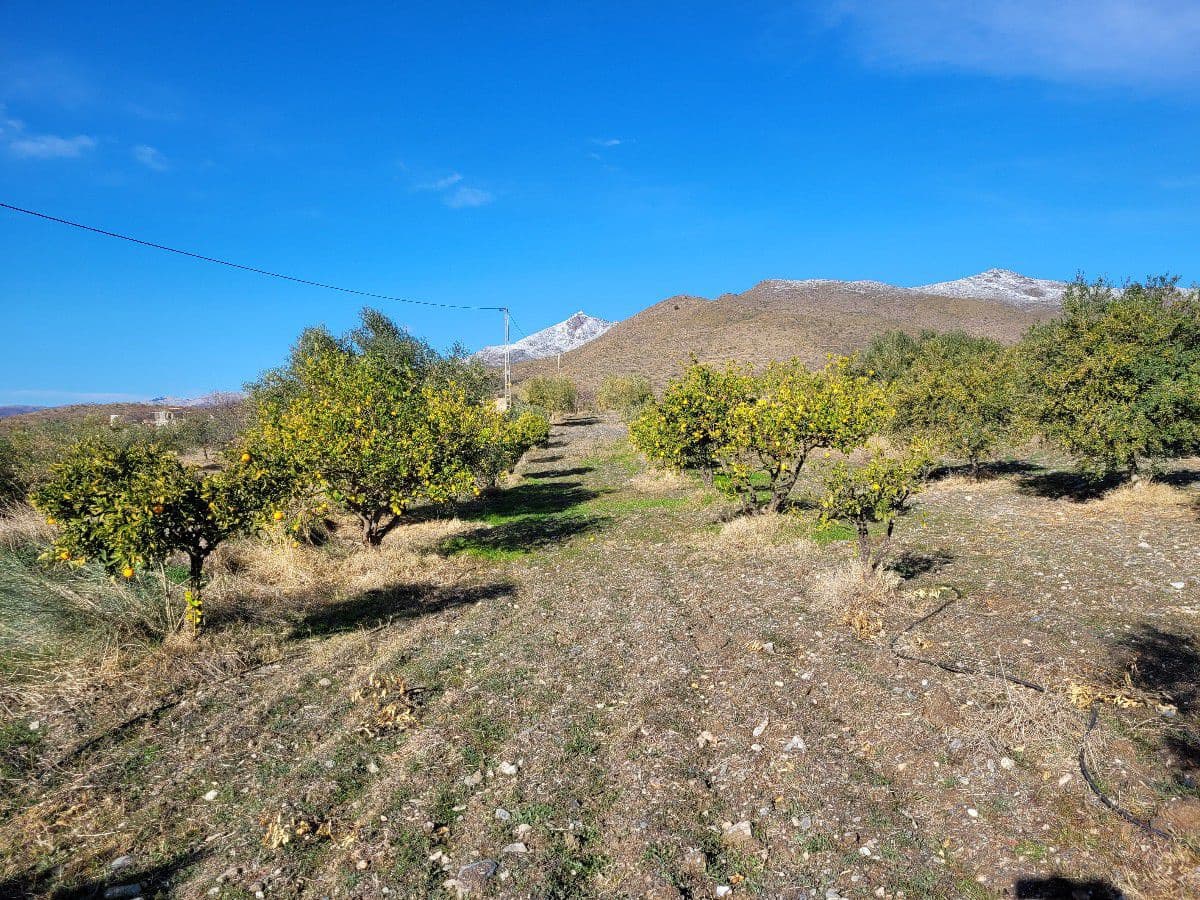 2 bedroom Finca/Country House for sale in Uleila del Campo - € 268,000 (Ref: 9858040)