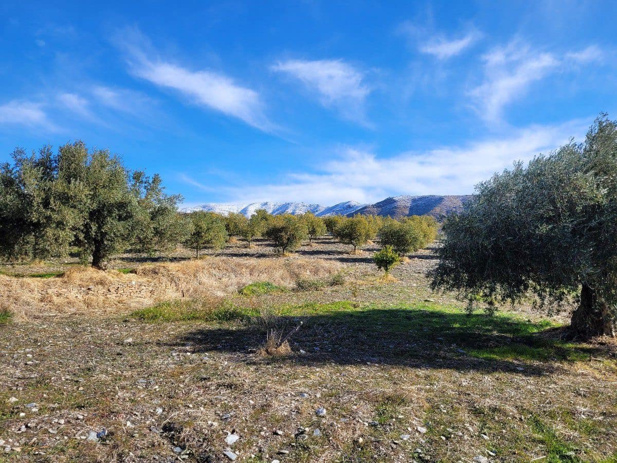 2 bedroom Finca/Country House for sale in Uleila del Campo - € 268,000 (Ref: 9858040)
