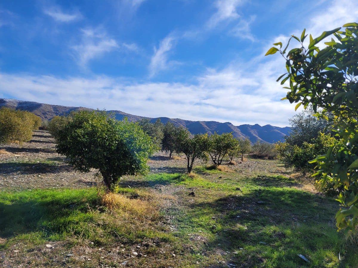 2 bedroom Finca/Country House for sale in Uleila del Campo - € 268,000 (Ref: 9858040)