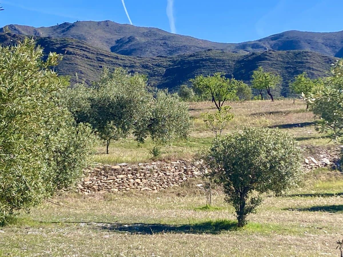 2 bedroom Finca/Country House for sale in Uleila del Campo - € 268,000 (Ref: 9858040)