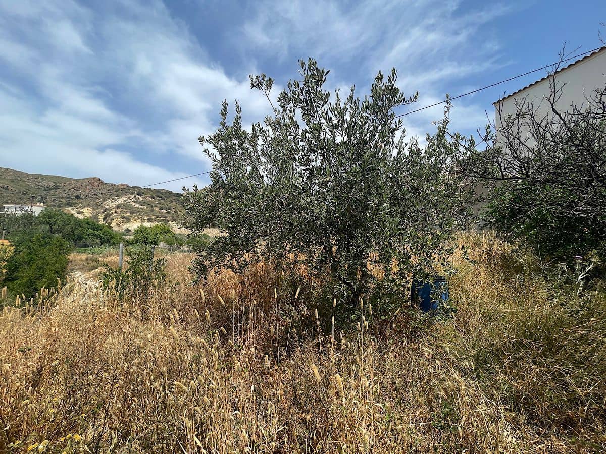 Hus til salgs i Sorbas - € 65 000 (Ref: 9916495)