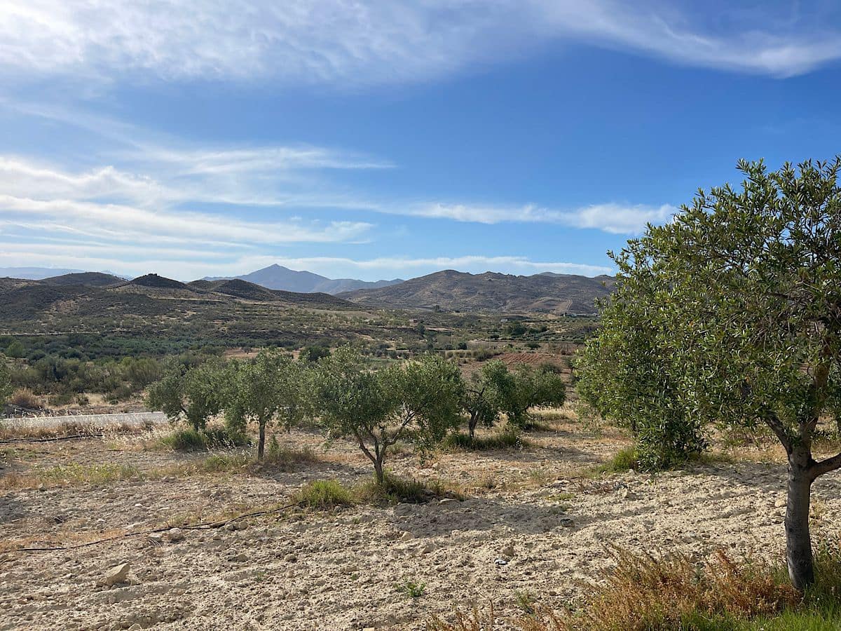2 bedroom Finca/Country House for sale in Sorbas - € 210,000 (Ref: 9930338)