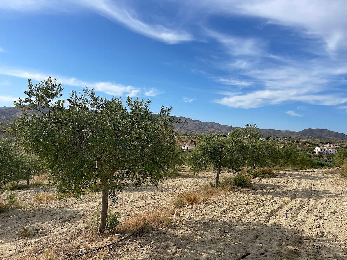 2 bedroom Finca/Country House for sale in Sorbas - € 210,000 (Ref: 9930338)