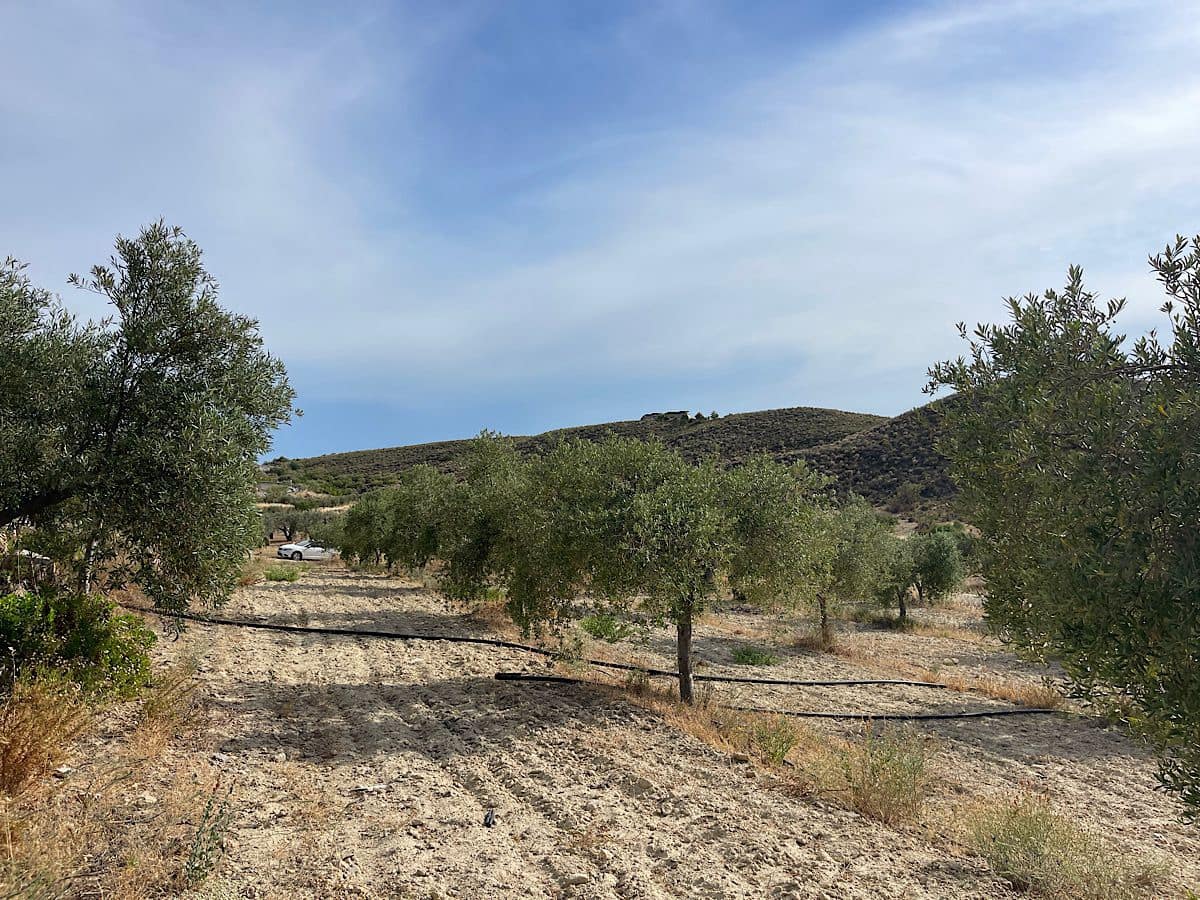 2 bedroom Finca/Country House for sale in Sorbas - € 210,000 (Ref: 9930338)