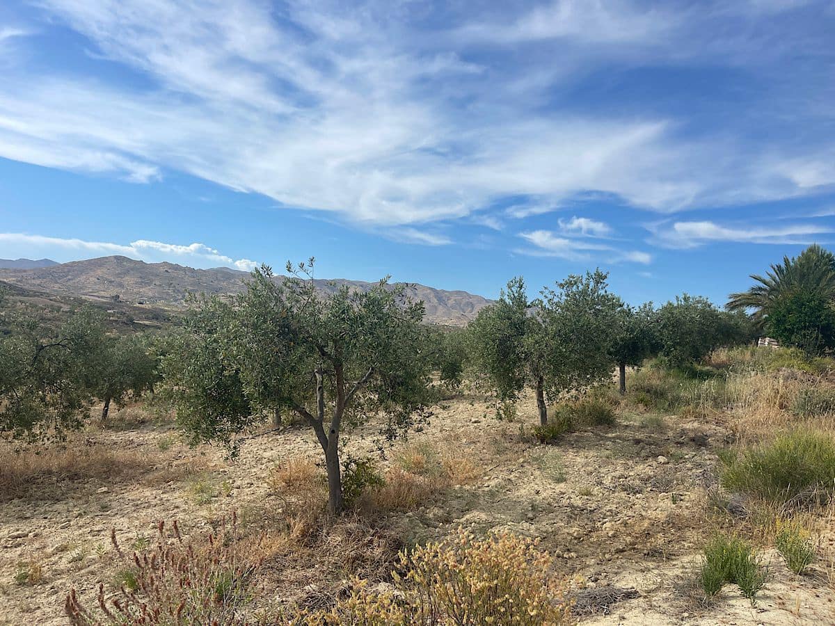 2 bedroom Finca/Country House for sale in Sorbas - € 210,000 (Ref: 9930338)