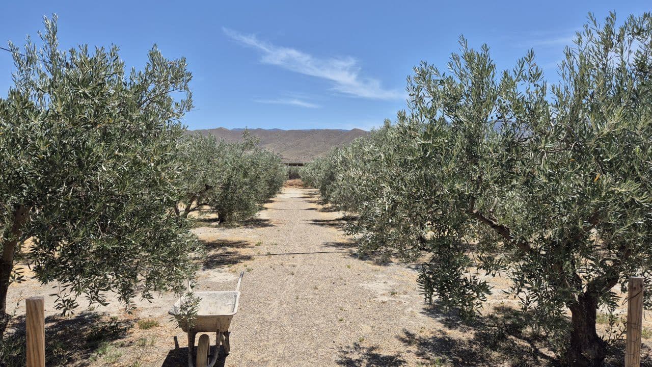 3 soveværelse Finca/Landehus til salg i Tabernas med swimmingpool garage - € 295.000 (Ref: 9959382)
