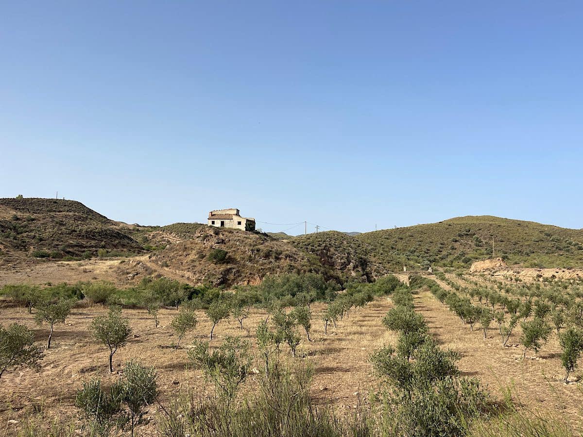 Terreno Não Urbanizado para venda em Sorbas - 300 000 € (Ref: 9968114)