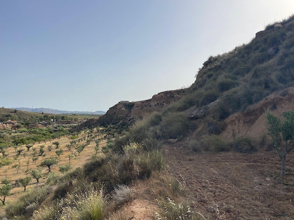 Terreno Não Urbanizado para venda em Sorbas - 300 000 € (Ref: 9968114)