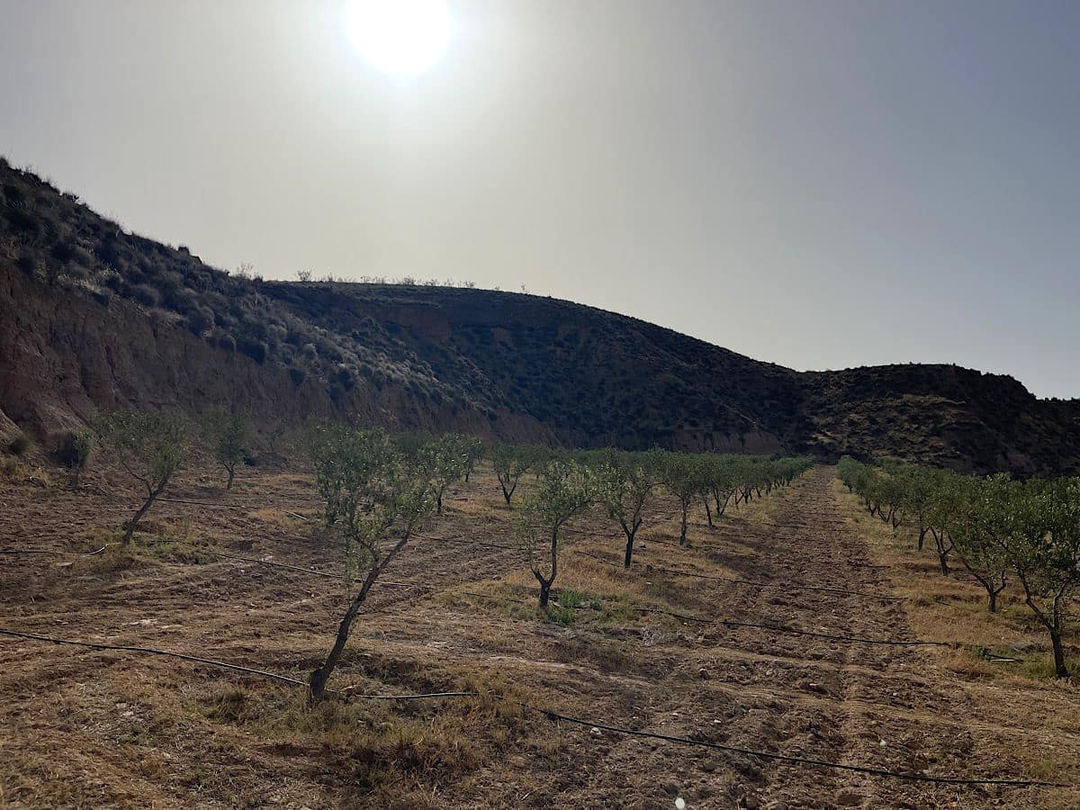 Terreno Não Urbanizado para venda em Sorbas - 300 000 € (Ref: 9968114)