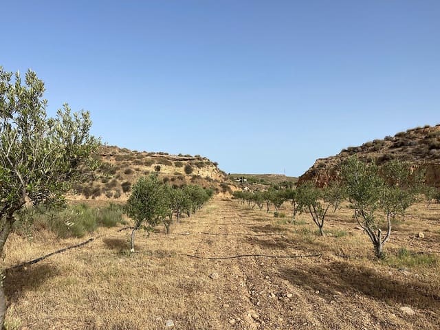 Terreno Não Urbanizado para venda em Sorbas - 300 000 € (Ref: 9968114)