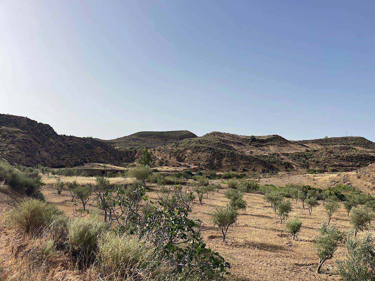 Terreno Não Urbanizado para venda em Sorbas - 300 000 € (Ref: 9968114)