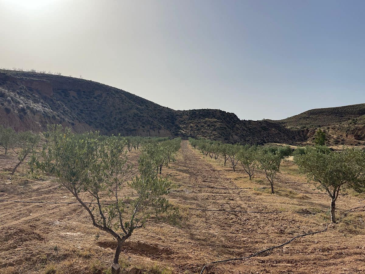 Terreno Não Urbanizado para venda em Sorbas - 300 000 € (Ref: 9968114)