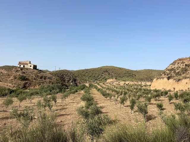 Terreno Não Urbanizado para venda em Sorbas - 300 000 € (Ref: 9968114)