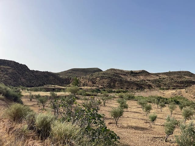 Terreno Não Urbanizado para venda em Sorbas - 300 000 € (Ref: 9968114)
