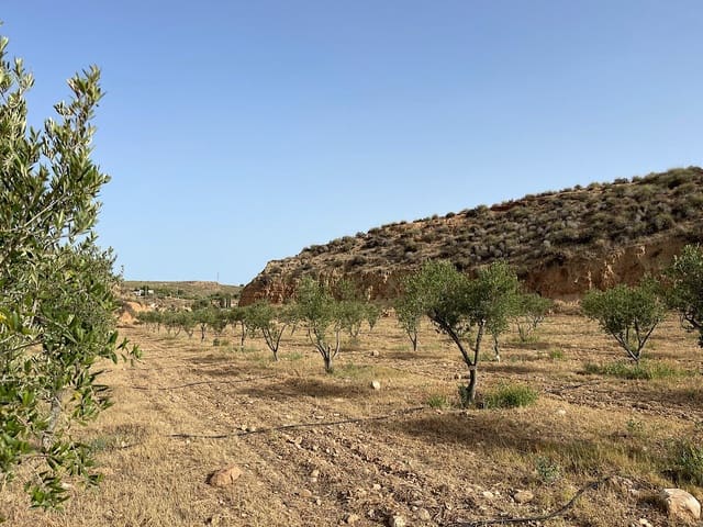 Terreno Não Urbanizado para venda em Sorbas - 300 000 € (Ref: 9968114)