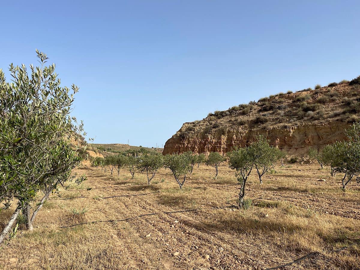 Finca/Country House for sale in Sorbas - € 300,000 (Ref: 9968115)