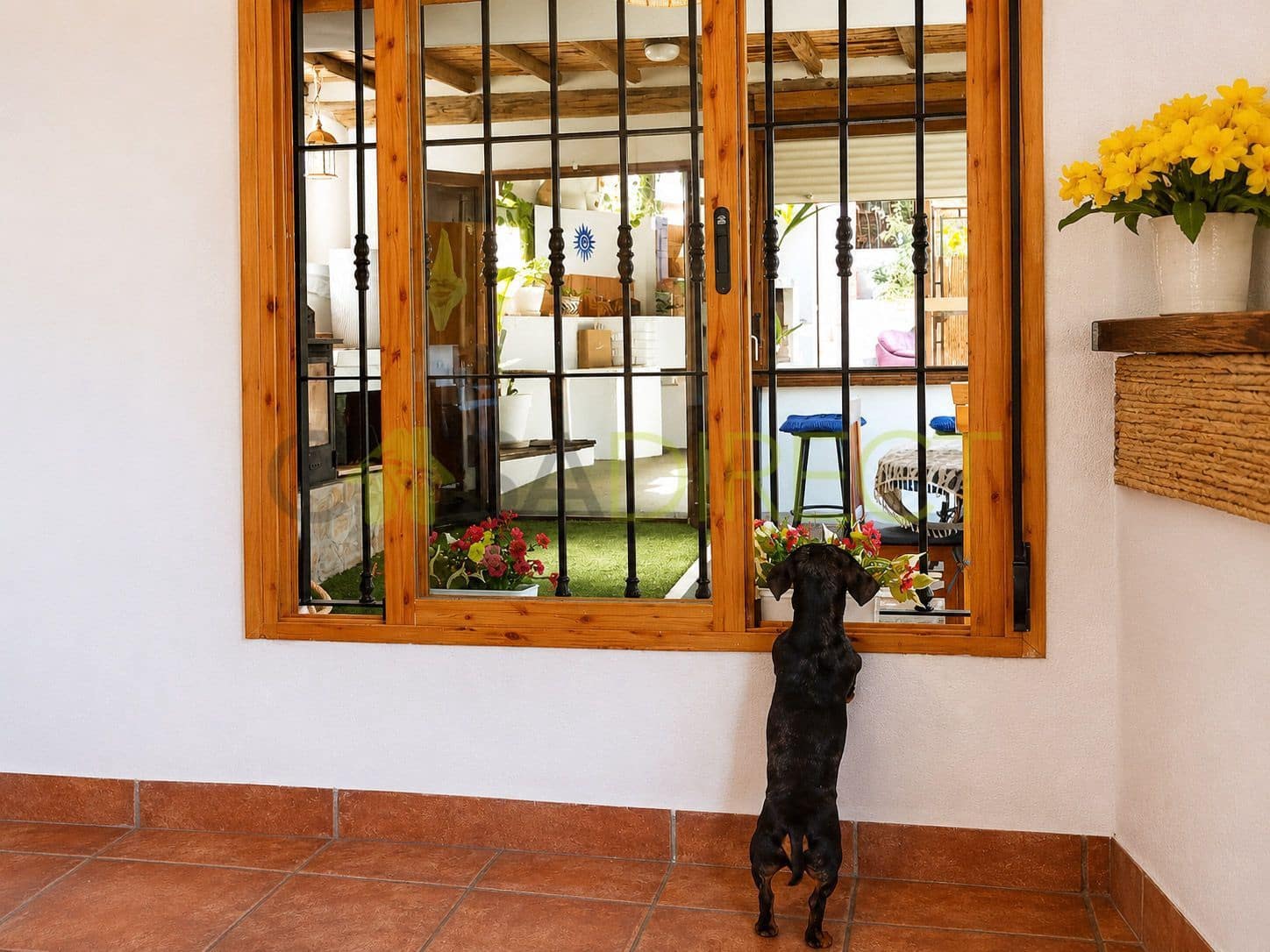 2 bedroom Finca/Country House for rent in Salobrena with pool garage - € 1,320 (Ref: 10002600)