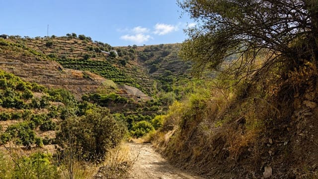 Terreno Não Urbanizado para venda em Torrox - 34 000 € (Ref: 10046815)