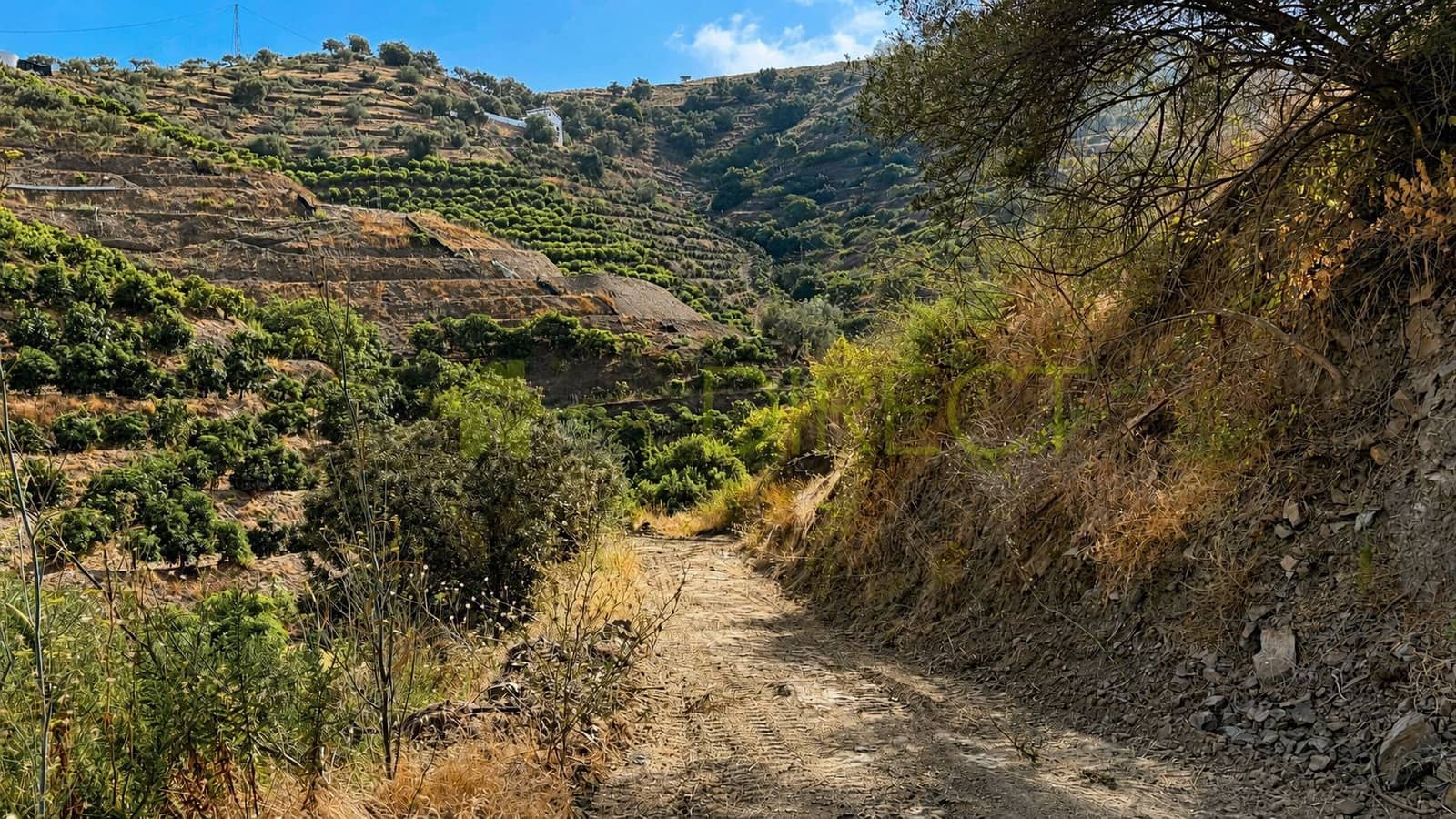 Terreno Não Urbanizado para venda em Torrox - 34 000 € (Ref: 10046815)