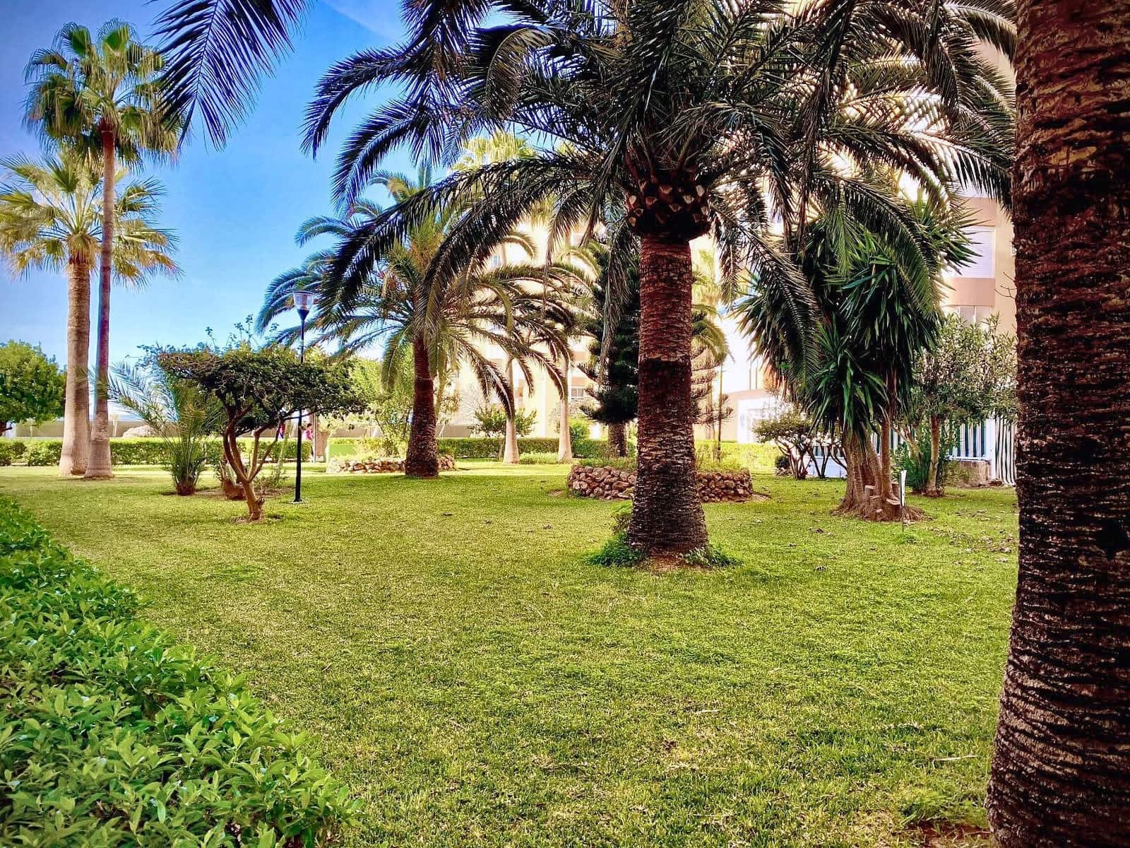 Piso de 1 habitación en Torrox-Costa en alquiler con piscina - 780 € (Ref: 10061262)