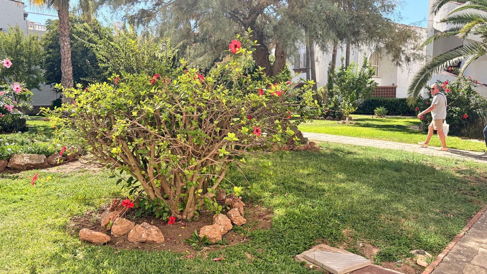 1 camera da letto Appartamento da affittare in Torrox con piscina - 600 € (Rif: 10067073)